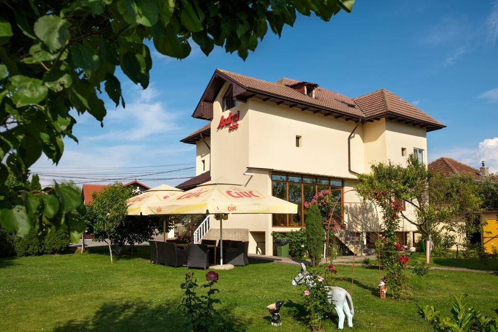 Pensiunea Andrei Rm Valcea Râmnicu Vâlcea Exterior foto