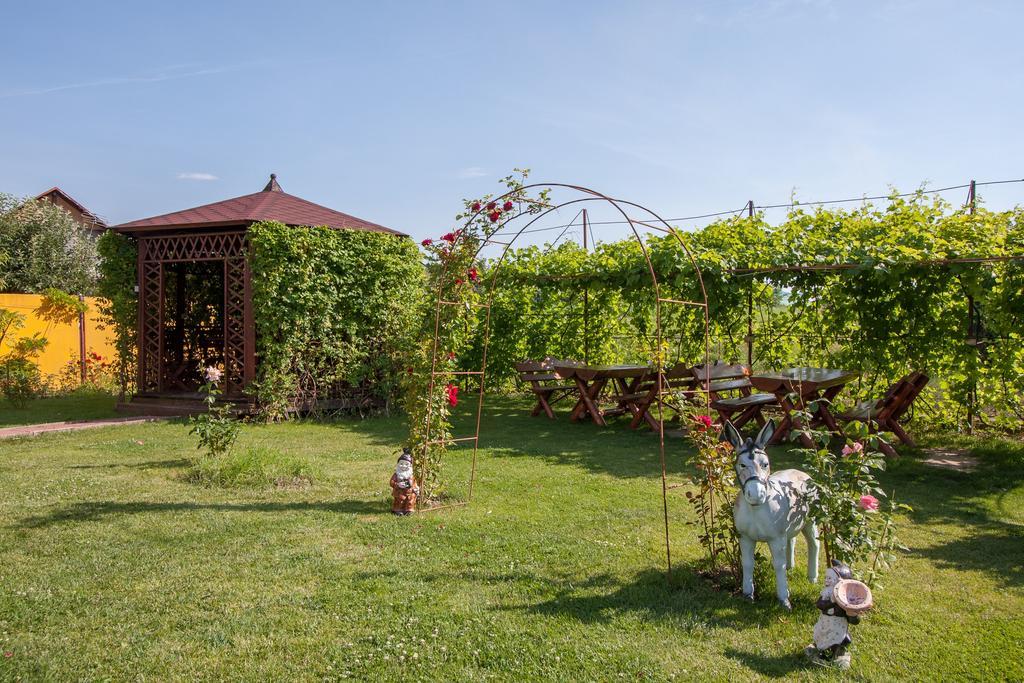 Pensiunea Andrei Rm Valcea Râmnicu Vâlcea Exterior foto